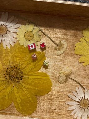 Origami Owl Red & Silver Canadian Flag and Maple Leaf charms